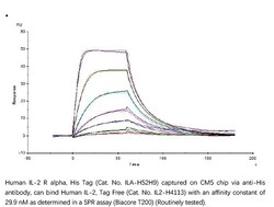 ACROBiosystems Recombinant Protein;Human IL-2 R alpha / CD25 Protein;HEK293;100UG;ILA,IL2RA,CD25,p55,IL2-RA,IL-2-RA,IL-2