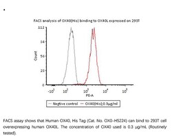 ACROBiosystems Recombinant Protein;Human OX40 / TNFRSF4 / CD134 Protein;HEK293;100UG;OX0,TNFRSF4,OX40,CD134,OX40L