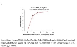 ACROBiosystems Recombinant Protein;Human CD200 / OX-2 Protein;HEK293;100UG;OX2,CD200,MOX1,MOX2,MRC,OX-2,My033,OX2,