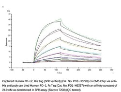 ACROBiosystems Recombinant Protein;Human PD-L2 / B7-DC Protein;HEK293;100UG;PD2,PDL2,PD-L2,Butyrophilin