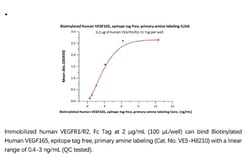ACROBiosystems Recombinant Protein;Biotinylated Human VEGF165, epitope