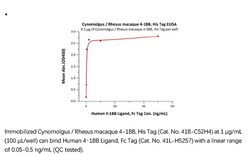 ACROBiosystems Recombinant Protein;Cynomolgus / Rhesus macaque 4-1BB /