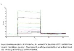 ACROBiosystems Recombinant Protein;Human Fc gamma RIIA / CD32a (R167) Protein