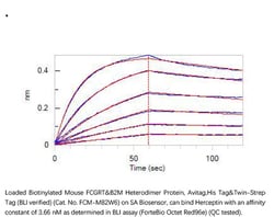 ACROBiosystems Recombinant Protein;Biotinylated Mouse FcRn/FCGRT );HEK293;25UG;FCM,FcRN,FCGRT