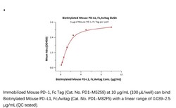 ACROBiosystems Recombinant Protein;Biotinylated Mouse PD-L1 / B7-H1, Fc
