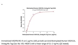 ACROBiosystems Recombinant Protein;Biotinylated Human VEGF121, Avi Tag