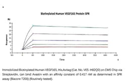 ACROBiosystems BIOTIN HUM VEGF165, HIS 25UG, Quantity: Each of 1