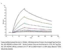 ACROBiosystems BIOTIN HUM IL-23A&IL-12B 25UG, Quantity: Each of 1
