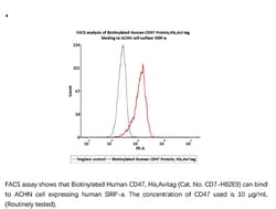 ACROBiosystems Recombinant Protein;Biotinylated Human CD47 Protein, Avi
