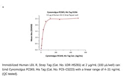 ACROBiosystems Recombinant Protein;Cynomolgus PCSK9 Protein, His Tag;HEK293;1MG;PC9,PCSK9,PCSK-9,FH3,HCHOLA3,LDLCQ1,NARC-1,NARC1,PC9,