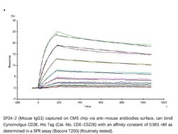 ACROBiosystems Recombinant Protein;Cynomolgus CD3 epsilon Protein;HEK293;1MG;CDE,FLJ18683,T3E,TCRE,CD3E,CD3-epsilon,CD3