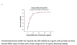 ACROBiosystems Recombinant Protein;Human ErbB3 / Her3 Protein, His Tag;HEK293;1MG;ER3,ERBB3,ErbB-3,HER3,HER-3,LCCS2,MDA-BF-1,MGC88033,c-erbB-3,c-erbB3,erbB3-S,p180-ErbB3,p45-sErbB3,p85-sErbB3,