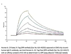 ACROBiosystems Recombinant Protein;Human IL-15 Protein, Tag Free;E.coli;20UG;IL5,IL-15,IL15,Interleukin