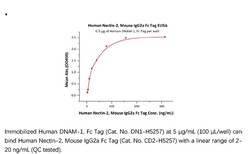 ACROBiosystems Recombinant Protein;Human Nectin-2 / CD112 Protein, Mouse