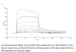ACROBiosystems Recombinant Protein;Mouse Fc gamma RIIB / CD32b Protein