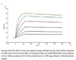 ACROBiosystems Recombinant Protein;Human CD19 (20-291) Protein, Fc Tag, low