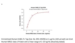 ACROBiosystems Recombinant Protein;Human ErbB3 / Her3 Protein, Fc Tag;HEK293;200UG;ER3,ERBB3,ErbB-3,HER3,HER-3,LCCS2,MDA-BF-1,MGC88033,c-erbB-3,c-erbB3,erbB3-S,p180-ErbB3,p45-sErbB3,p85-sErbB3,