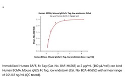 ACROBiosystems Recombinant Protein;Human BCMA / TNFRSF17 Protein, Mouse