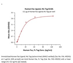 ACROBiosystems Recombinant Protein;Human Fas Ligand / TNFSF6 Protein;HEK293;1MG;FAL,FASLG,ALPS1B,APT1LG1,CD178,CD95-L,CD95L,FASL,TNFSF6,Fas