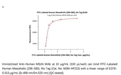 ACROBiosystems Recombinant Protein;FITC-Labeled Human Mesothelin / MSLN