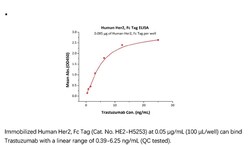 ACROBiosystems Recombinant Protein;Human Her2 / ErbB2 Protein, Fc Tag;HEK293;1MG;HE2,ERBB2,CD340,HER-2,HER-2/neu,HER2,MLN19,NEU,NGL,TKR1,ERBB-2,MLN-19,TKR-1,