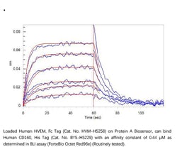 ACROBiosystems Recombinant Protein;Human HVEM / TNFRSF14 Protein, Fc Tag;HEK293;100UG;HVM,TNFRSF14,ATAR,HVEA,HVEM,LIGHTR,TR2,CD270,