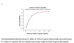 ACROBiosystems Recombinant Protein;Human IL-1 Rrp2 / IL-1 R6 Protein, Fc