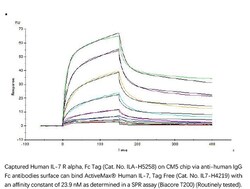 ACROBiosystems Recombinant Protein;ActiveMax Recombinant Human IL-7;HEK293;50UG;IL7,IL7,IL-7,Interleukin