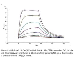 ACROBiosystems Recombinant Protein;Human IL-13 R alpha 1 Protein;HEK293;100UG;IL1,IL13RA1,CD213A1,IL-13Ra,NR4,RP13-128O4.2,IL13Rα1,Interleukin,