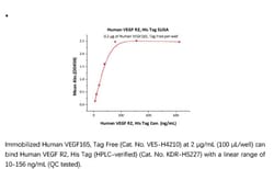 ACROBiosystems Recombinant Protein;Human VEGF R2 / KDR Protein (HPLC-verified);HEK293;1MG;KDR,KDR,CD309,FLK1,VEGFR,VEGFR2,VEGF