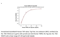 ACROBiosystems Recombinant Protein;Human TNFR2 / CD120b / TNFRSF1B Protein;HEK293;50UG;TN2,TNFRSF1B,CD120b,TBPII,TNF-R-II,TNF-R75,TNFBR,TNFR1B,TNFR2,TNF