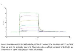 ACROBiosystems Recombinant Protein;Human Fc gamma RIIIB / CD16b (NA2) Protein