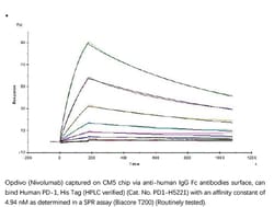 ACROBiosystems Recombinant Protein;Human PD-1 / PDCD1 Protein (HPLC-verified);HEK293;1MG;PD1,PDCD1,PD1,CD279,SLEB2,PDCD-1,PD-1,SLEB-2,