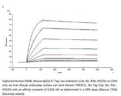 ACROBiosystems Recombinant Protein;Human RANK / TNFRSF11A Protein, Mouse