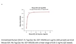 ACROBiosystems Recombinant Protein;Mouse SCF / KITLG Protein;HEK293;50UG;SCF,KITLG,SCF,FPH2,KL-1,Kitl,MGF,SF,SHEP7,Stem
