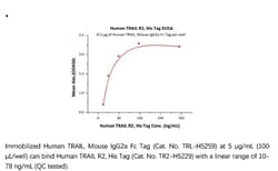 ACROBiosystems Recombinant Protein;Human TRAIL R2 / DR5 / TNFRSF10B Protein;HEK293;1MG;TR2,TNFRSF10B,TRAILR2,TRAIL-R2,CD262,DR5,DR-5,KILLER,TRICK2,ZTNFR9,TRICK2A,TRICK2B,TRICKB,TRICK-2,