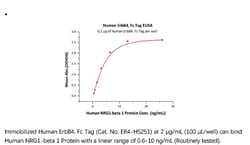 ACROBiosystems Recombinant Protein;Human ErbB4 / Her4 Protein, Fc Tag;HEK293;100UG;ER4,HER4,ErbB4,MGC138404,p180erbB4,HER-4,ErbB-4,