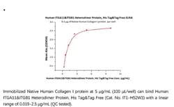 ACROBiosystems Recombinant Protein;Human Integrin alpha 11 beta 1 (ITGA11