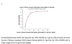 ACROBiosystems Recombinant Protein;Human / Rhesus macaque CD40 Ligand /