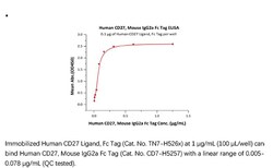 ACROBiosystems Recombinant Protein;Human CD27 / TNFRSF7 Protein, Mouse
