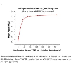 ACROBiosystems Recombinant Protein;Biotinylated Human VEGF R1 / Flt-1 Protein,