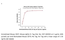 ACROBiosystems Recombinant Protein;Mouse CD27 / TNFRSF7 Protein, Mouse