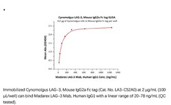 ACROBiosystems Recombinant Protein;Cynomolgus LAG-3 / CD223 Protein, Mouse