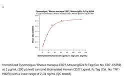 ACROBiosystems Recombinant Protein;Cynomolgus / Rhesus macaque CD27 / TNFRSF7