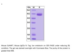 ACROBiosystems Recombinant Protein;Mouse SLAMF7 / CRACC / CD319 Protein,
