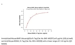 ACROBiosystems Recombinant Protein;Mouse BAFF / TNFSF13B / CD257 Protein,
