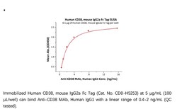 ACROBiosystems Recombinant Protein;Human CD38 Protein, Mouse IgG2a Fc Tag,