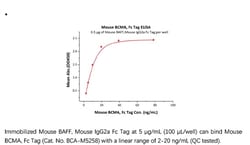 ACROBiosystems Recombinant Protein;Mouse BCMA / TNFRSF17 Protein, Fc Tag;HEK293;1MG;BCA,TNFRSF17,CD269,BCM,BCMA,TNFRSF-17,