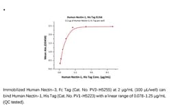 ACROBiosystems Recombinant Protein;Human Nectin-1 / PVRL1 / CD111 Protein;HEK293;1MG;PV1,PVRL1,Nectin-1,CD111,CLPED1,ED4,HIgR,HVEC,OFC7,PRR,PRR1,PVRR,PVRR1,SK-12,PVRL-1,Nectin