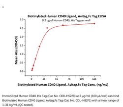 ACROBiosystems Recombinant Protein;Biotinylated Human CD40 Ligand / TNFSF5